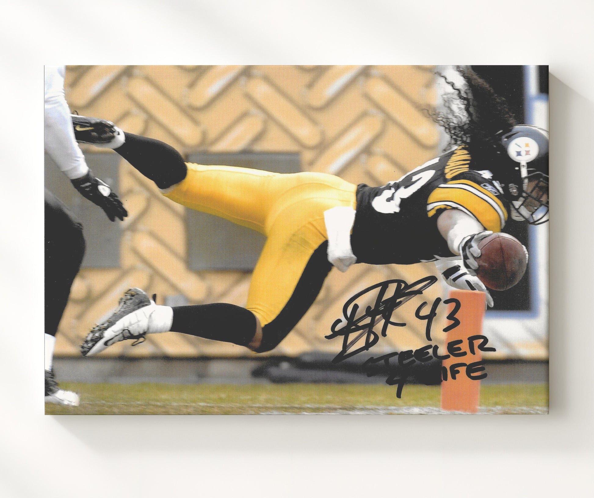 Troy Polamalu - Flying Steel football wall art 20x24 Canvas