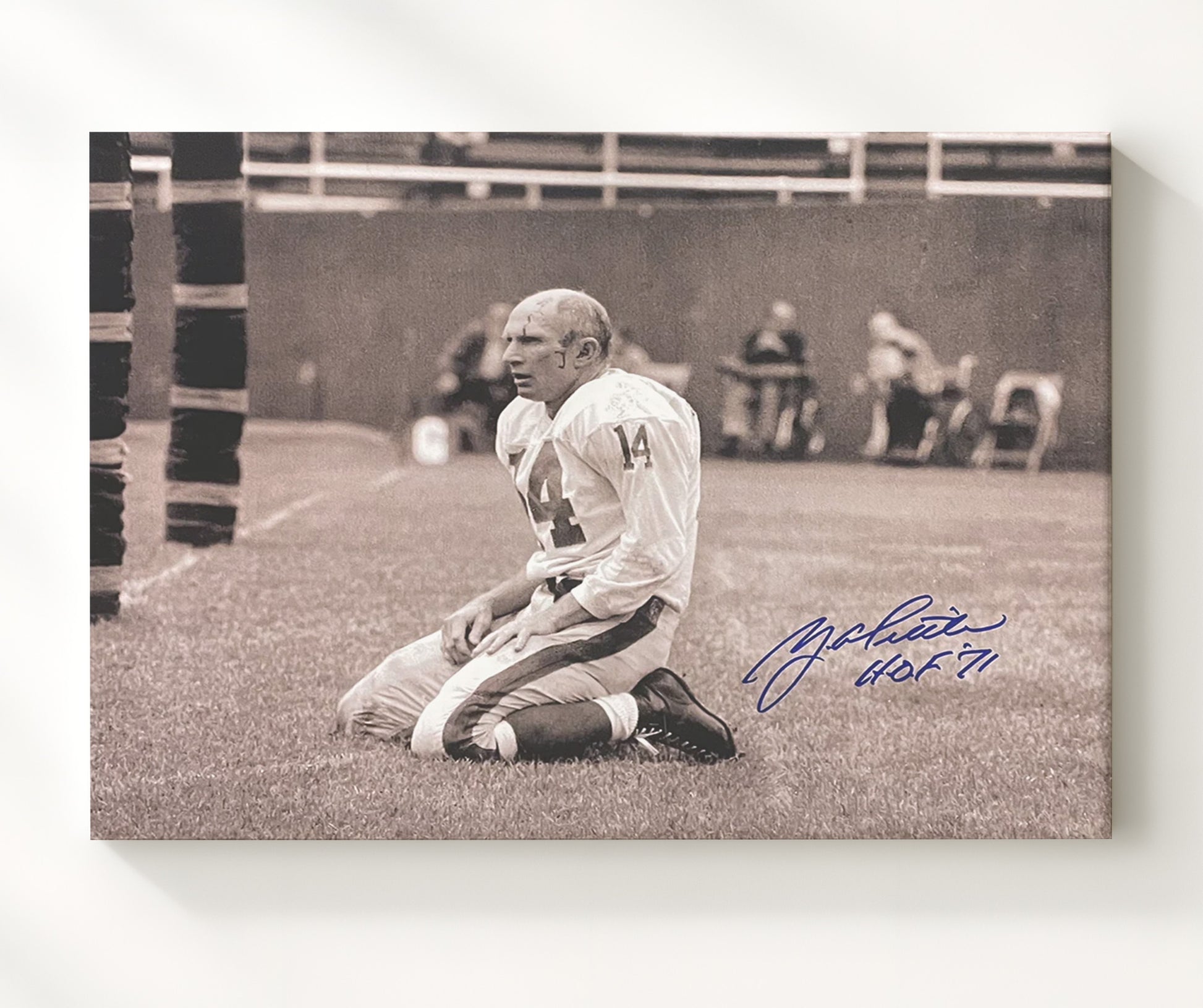 Y.A. Tittle - Iron Will football wall art 20x24 Canvas