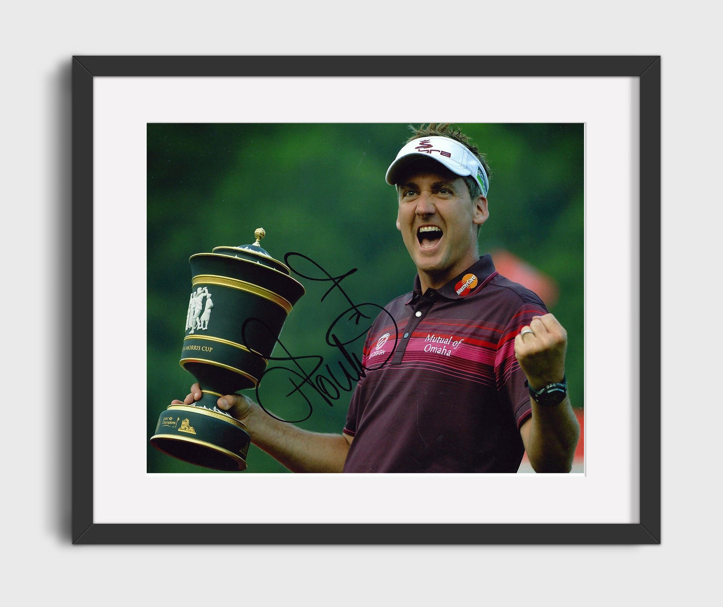 Ian Poulter - Championship Celebration golf wall art 16x20 Gallery Frame