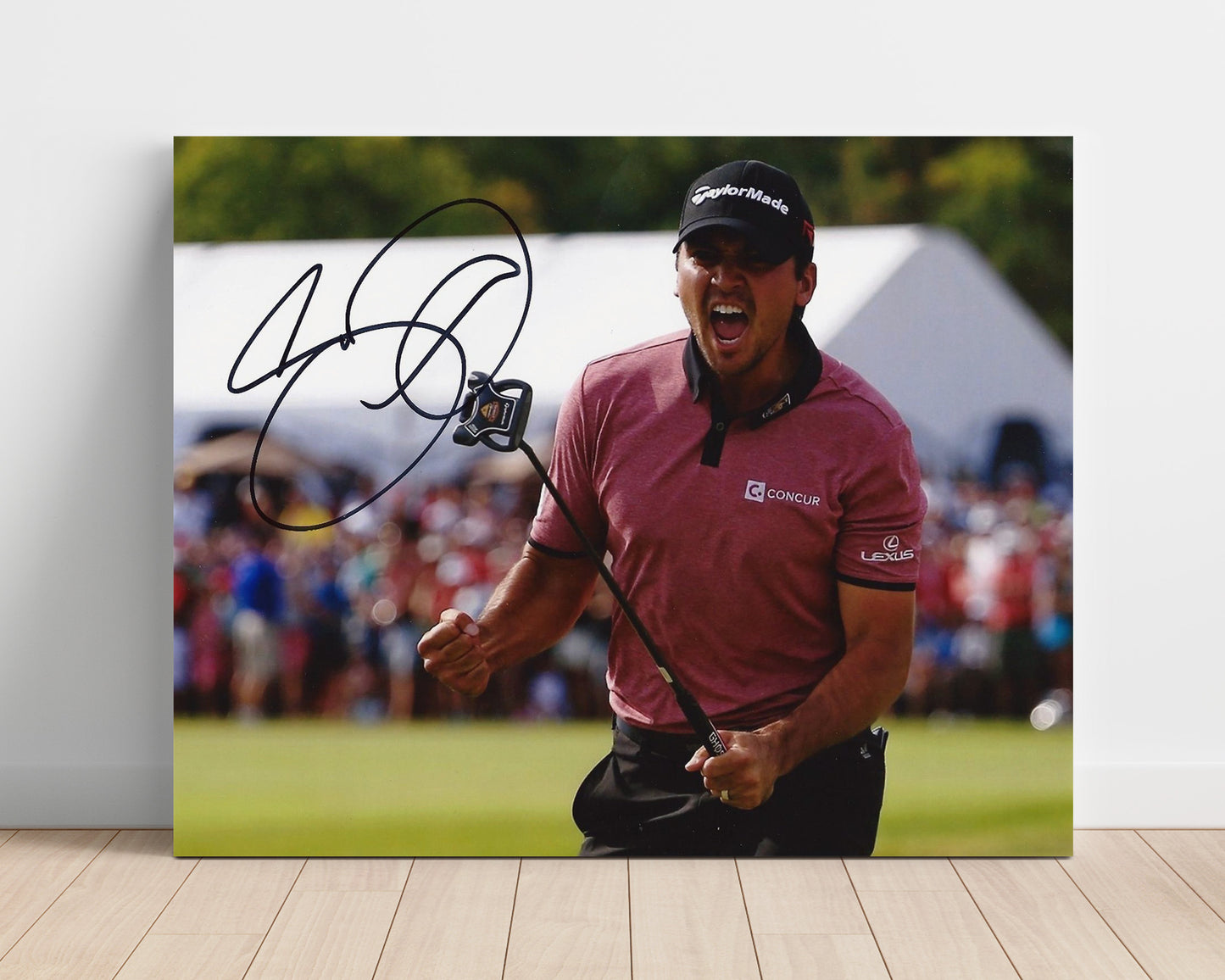 Jason Day - Victory Celebration golf wall art 16x20 Unframed Print