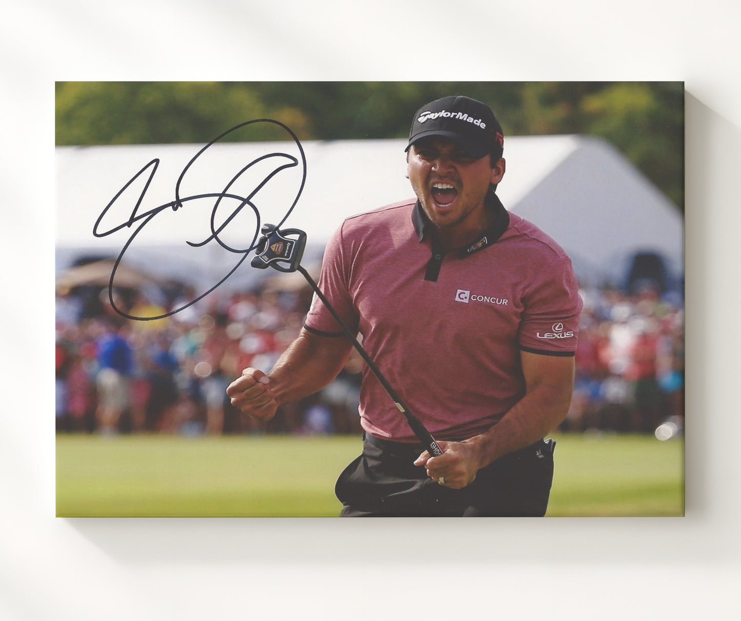Jason Day - Victory Celebration golf wall art 20x24 Canvas