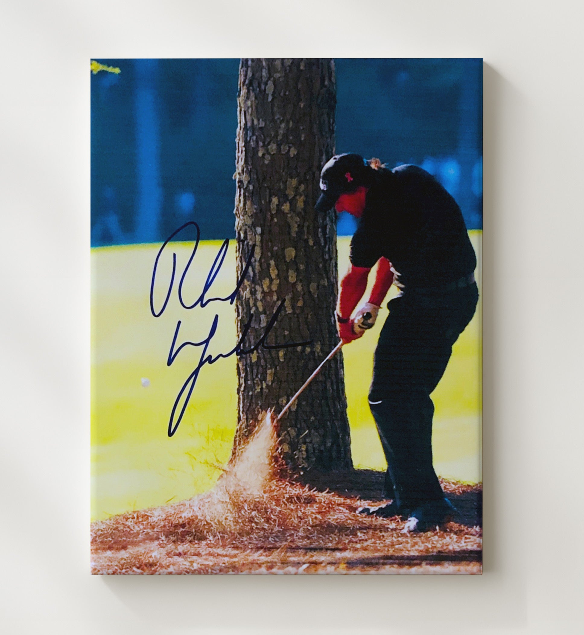 Phil Mickelson - Pine Straw Recovery Shot Golf Wall Art