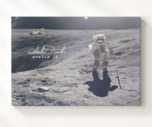 Charlie Duke - Apollo 16 Moonwalk 1972 8x10 Canvas history wall art
