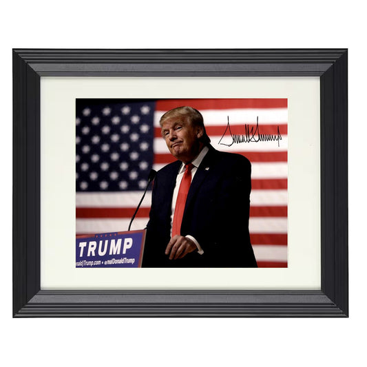 Donald Trump - Campaign Podium Speech with American Flag 8x10 Beveled Frame history wall art