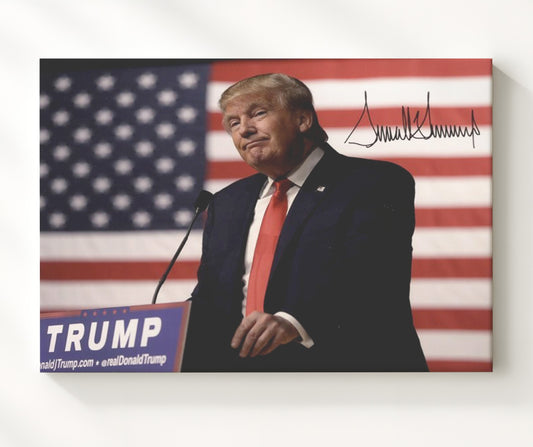 Donald Trump - Campaign Podium Speech with American Flag 8x10 Canvas history wall art