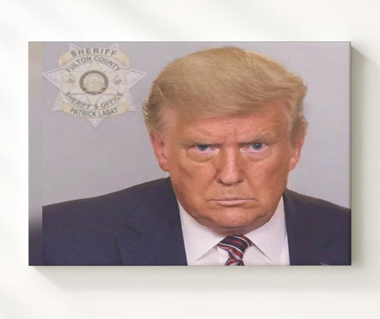 Donald Trump - Fulton County Booking 2023 8x10 Canvas history wall art