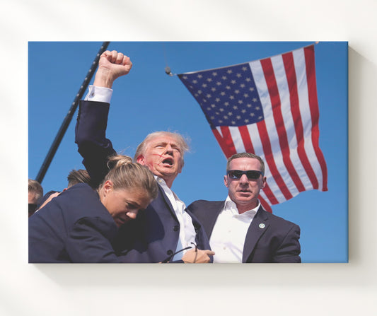 Donald Trump - Keep Fighting Rally Moment 2024 8x10 Canvas history wall art