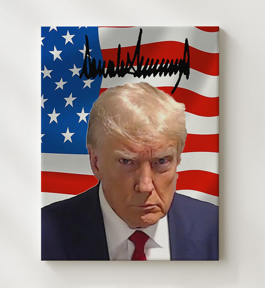 Donald Trump - Mug Shot Patriot 8x10 Canvas history wall art