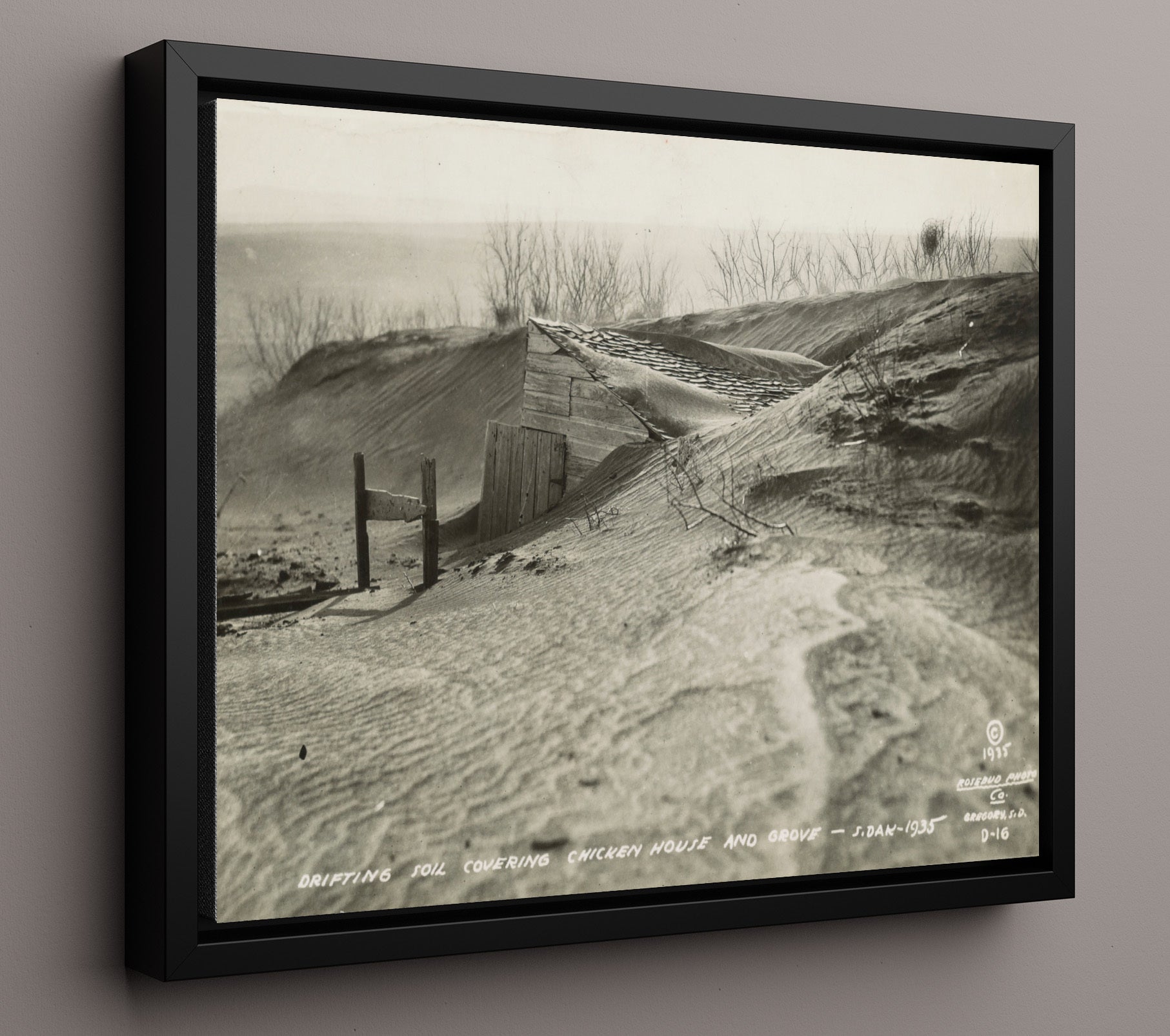Historical - Dust Bowl - Buried Homestead South Dakota 1935 History Wall Art