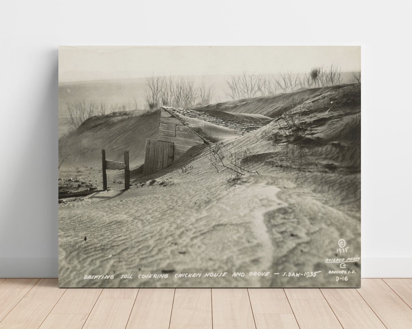 Historical - Dust Bowl - Buried Homestead South Dakota 1935 History Wall Art