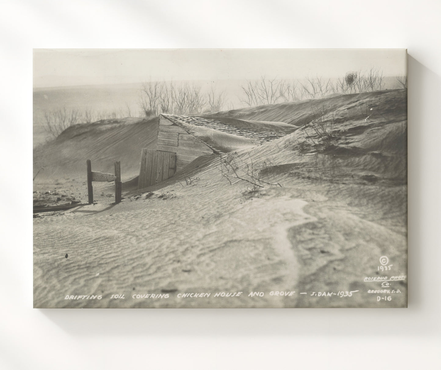 Historical - Dust Bowl - Buried Homestead South Dakota 1935 History Wall Art