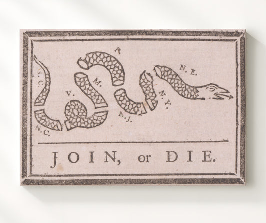 Join or Die - Benjamin Franklin Unity Cartoon 1754 8x10 Canvas history wall art