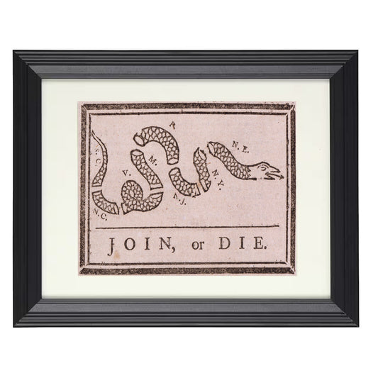 Join or Die - Benjamin Franklin Unity Cartoon 1754 8x10 Beveled Frame history wall art