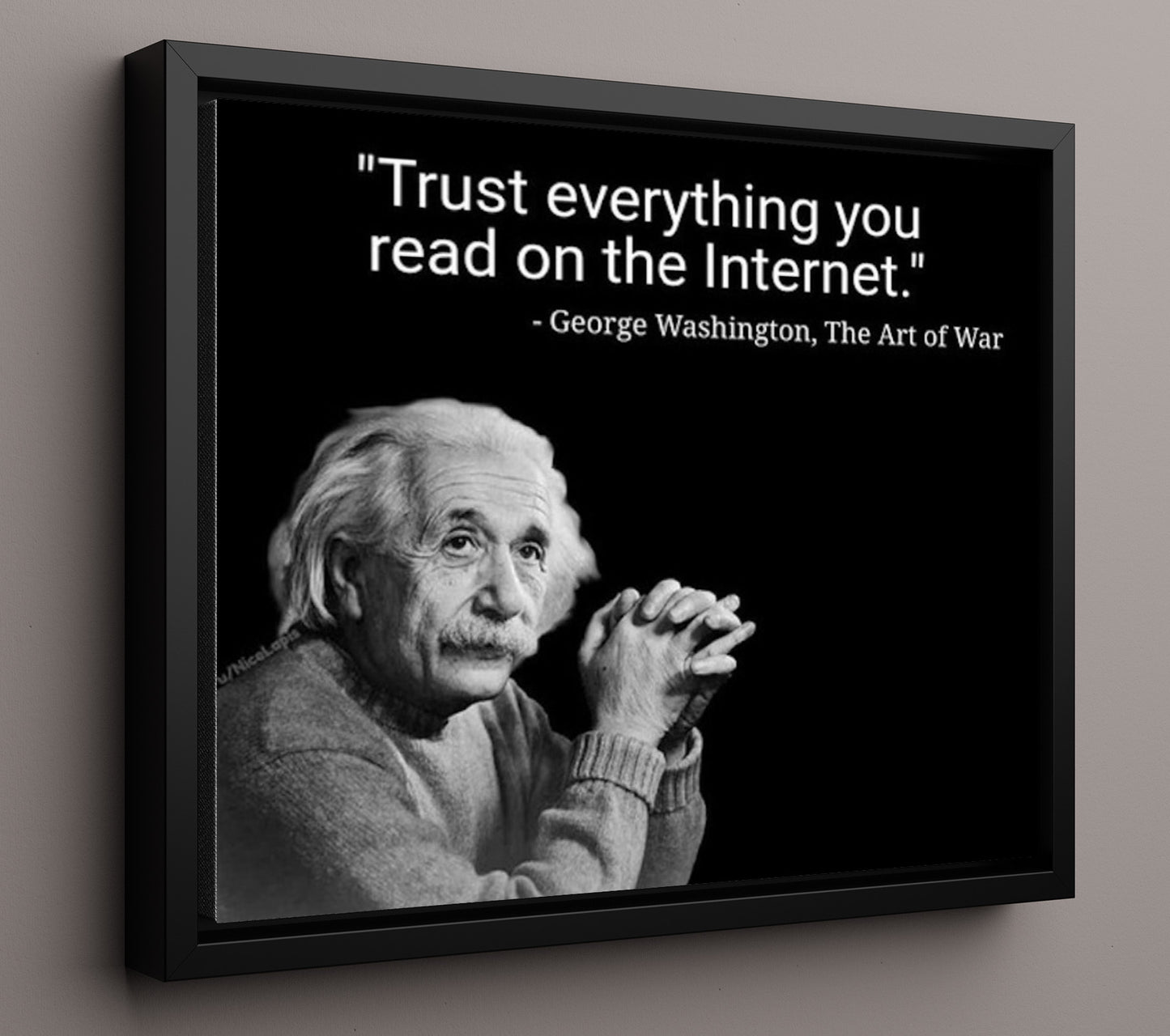 Albert Einstein Trust Everything Internet Funny Quote Wall Art 16x20 Framed Canvas wall art print – humor decor
