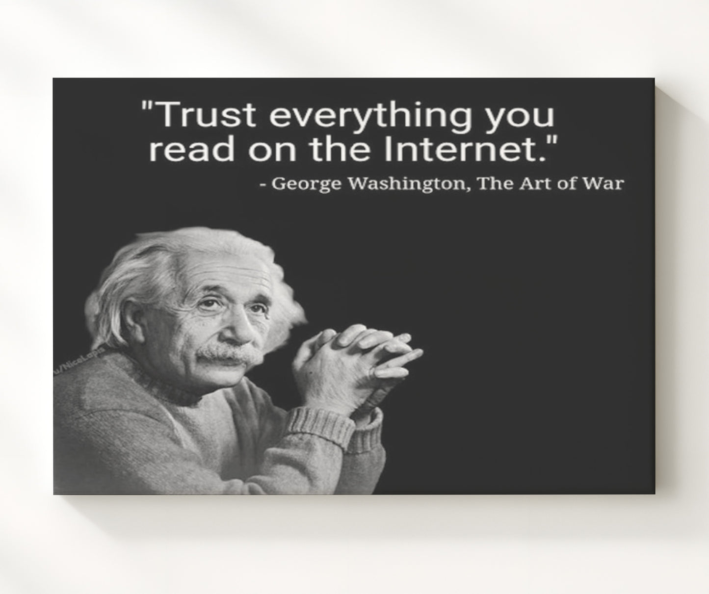 Albert Einstein Trust Everything Internet Funny Quote Wall Art 20x24 Canvas wall art print – humor decor