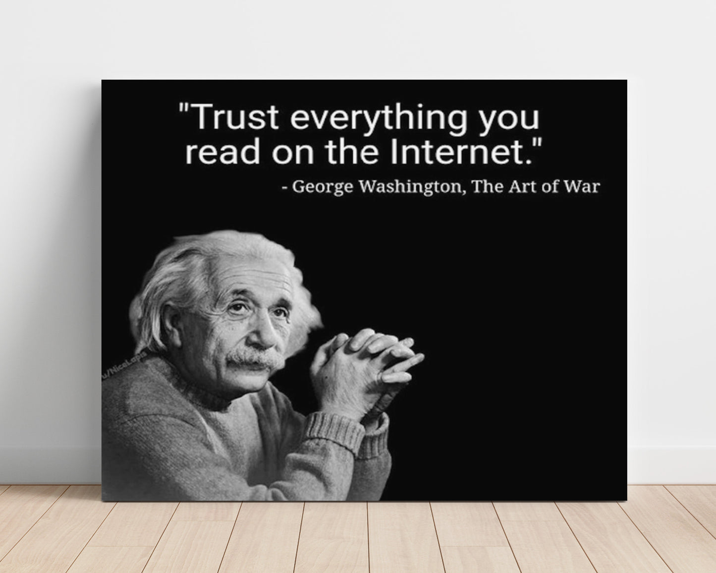 Albert Einstein Trust Everything Internet Funny Quote Wall Art 16x20 Unframed Print wall art print – humor decor