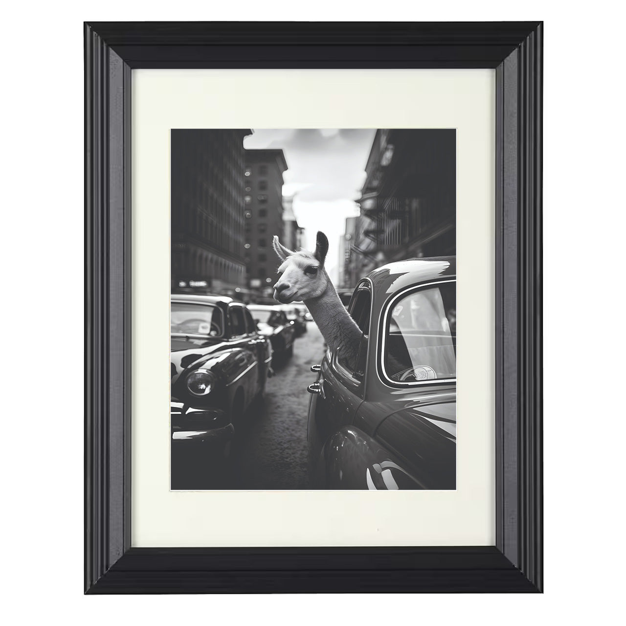 Llama in Traffic – Vintage Car Window Humor – 8x10 black beveled framed humor wall art
