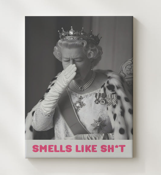 Smells Like Shit - Royal Satire 8x10 Canvas funny wall art