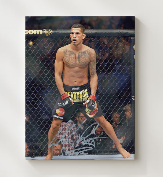 Anthony Pettis - Cage Ready Stance 8x10 Canvas MMA wall art