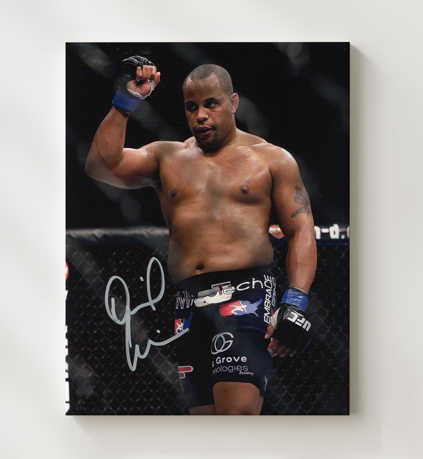 Daniel Cormier - Victory Fist Raise MMA Wall Art 20x24 Canvas wall art print – MMA Wall Art decor