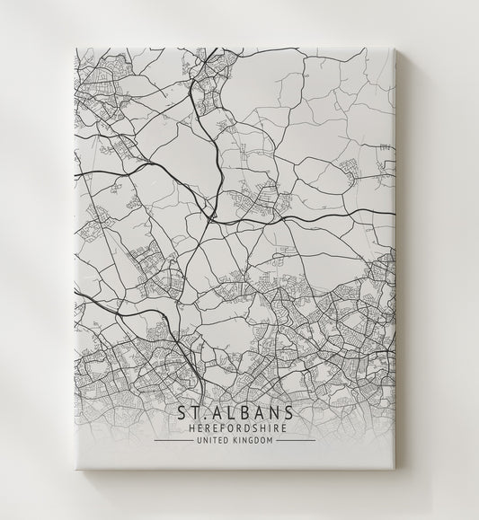 St Davids Wales UK city map print 16x20 Gallery Frame