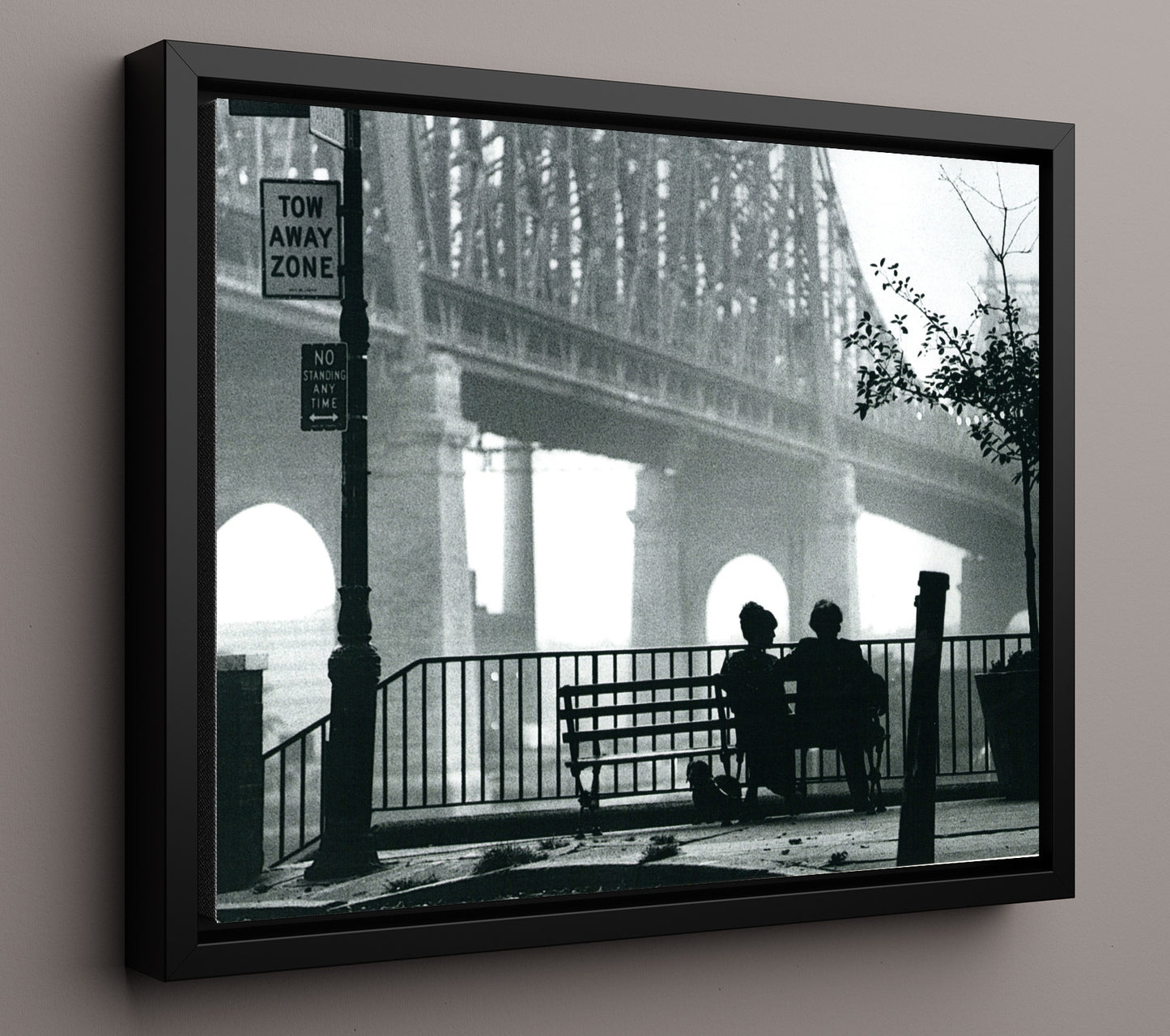 Manhattan - Woody Allen - Bench-side musings under the bridge movie wall art 16x20 Framed Canvas