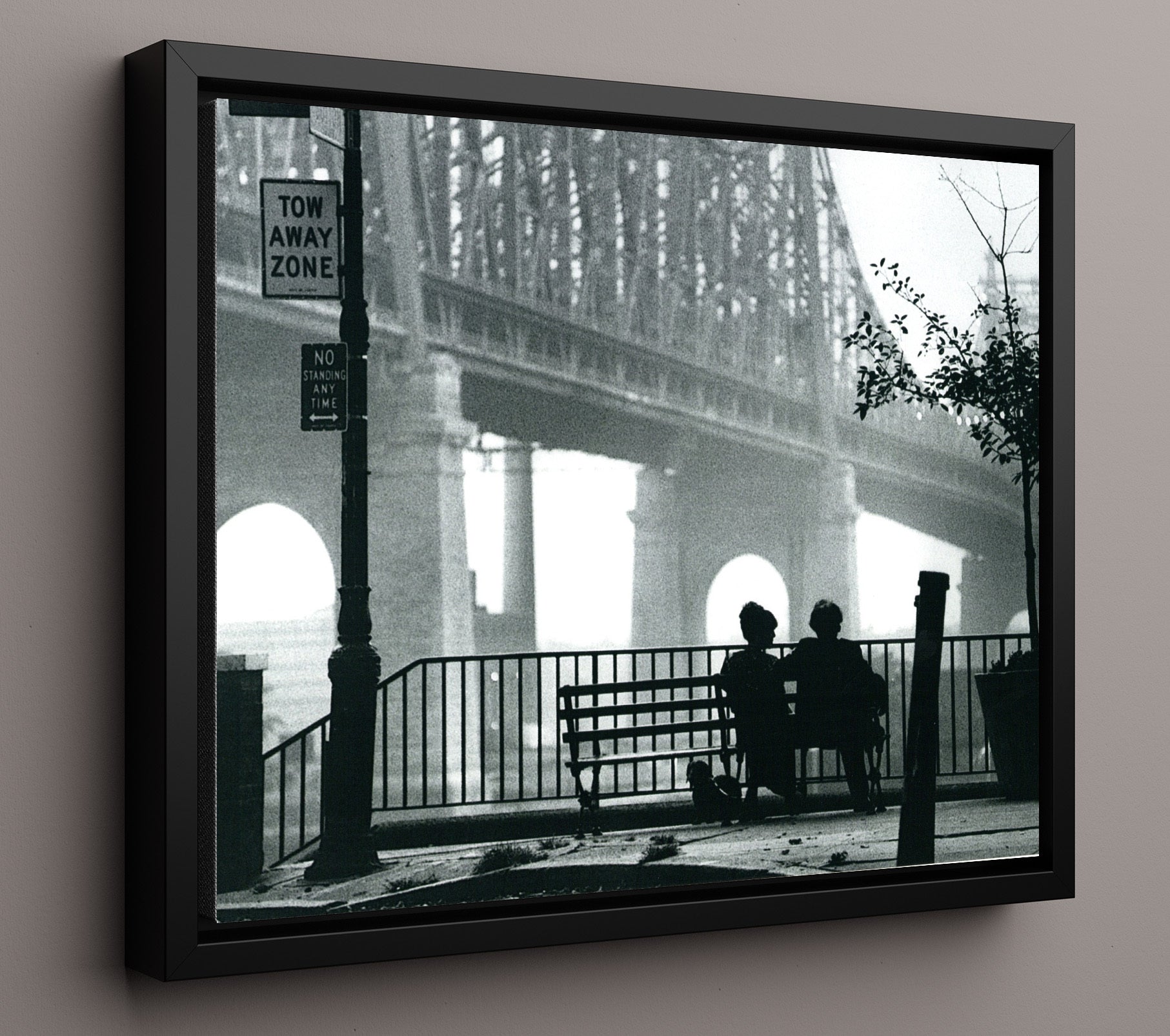 Manhattan - Woody Allen - Bench-side musings under the bridge movie wall art 16x20 Framed Canvas