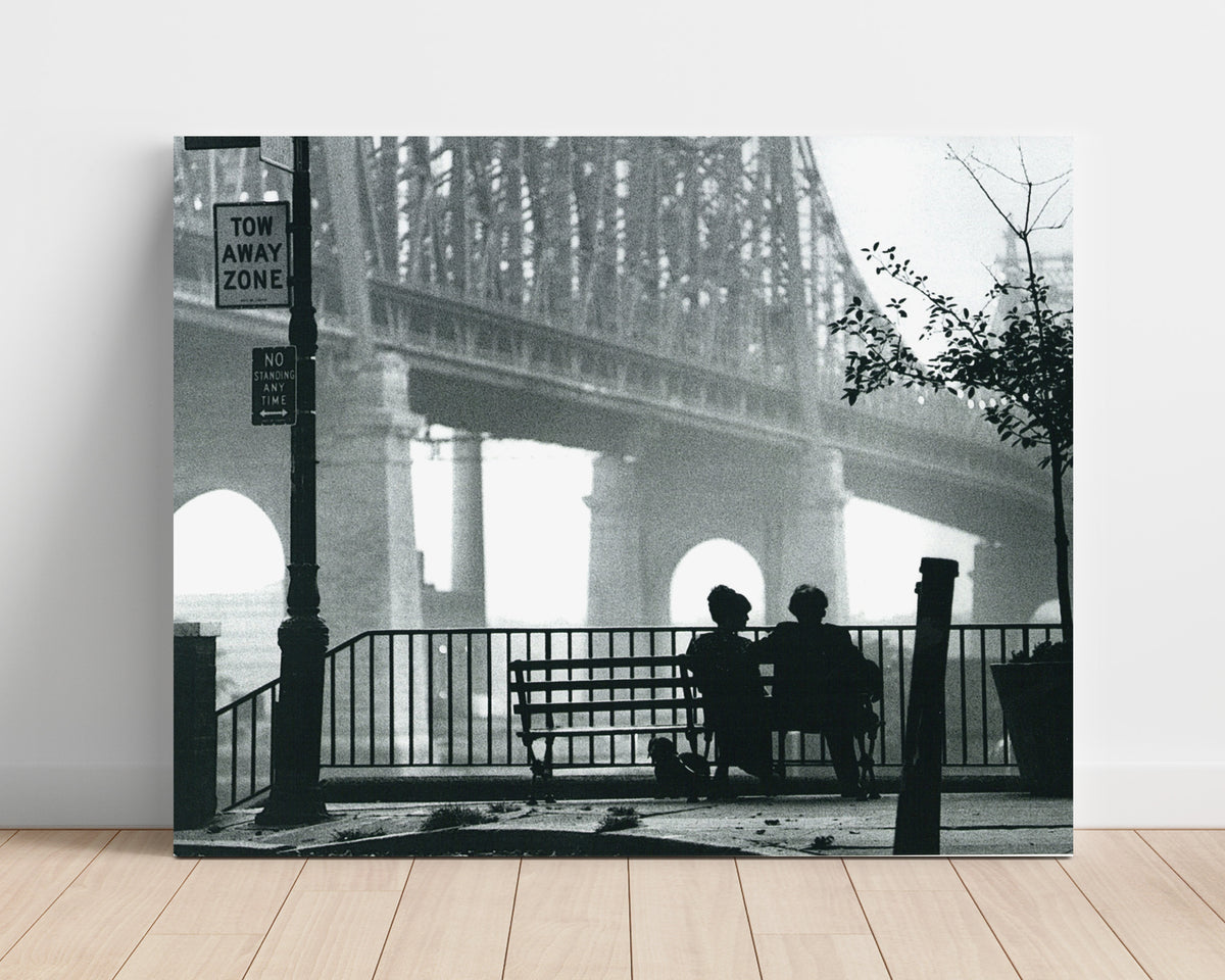 Manhattan - Woody Allen - Bench-side musings under the bridge movie wall art 16x20 Unframed Print