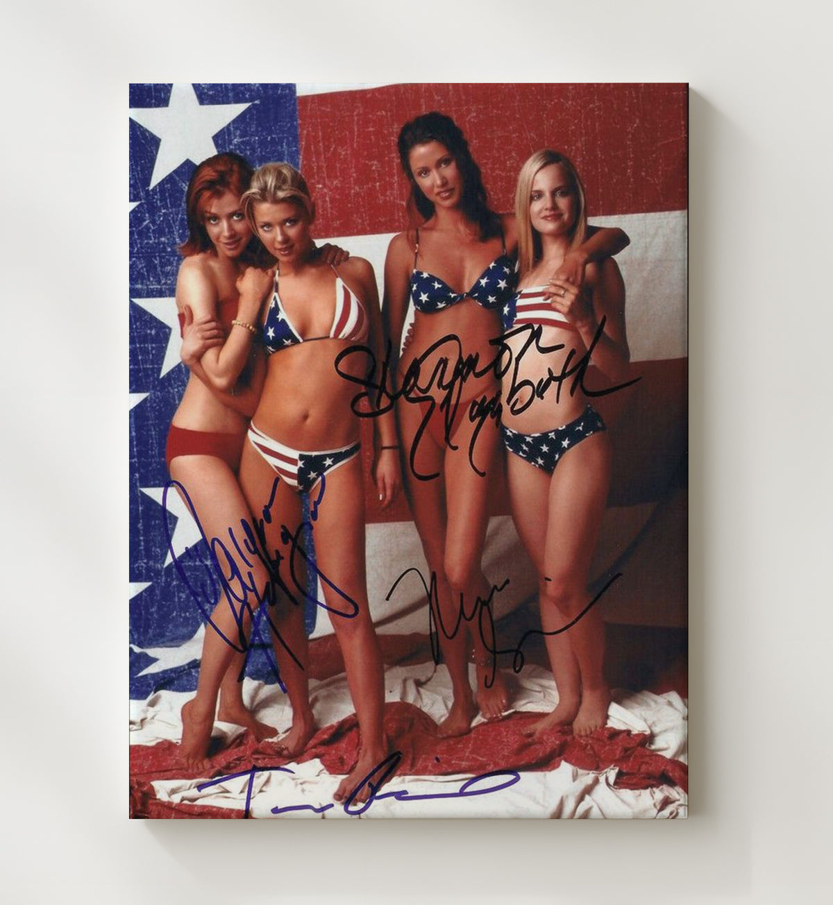American Pie - Stars and Stripes movie wall art 20x24 Canvas