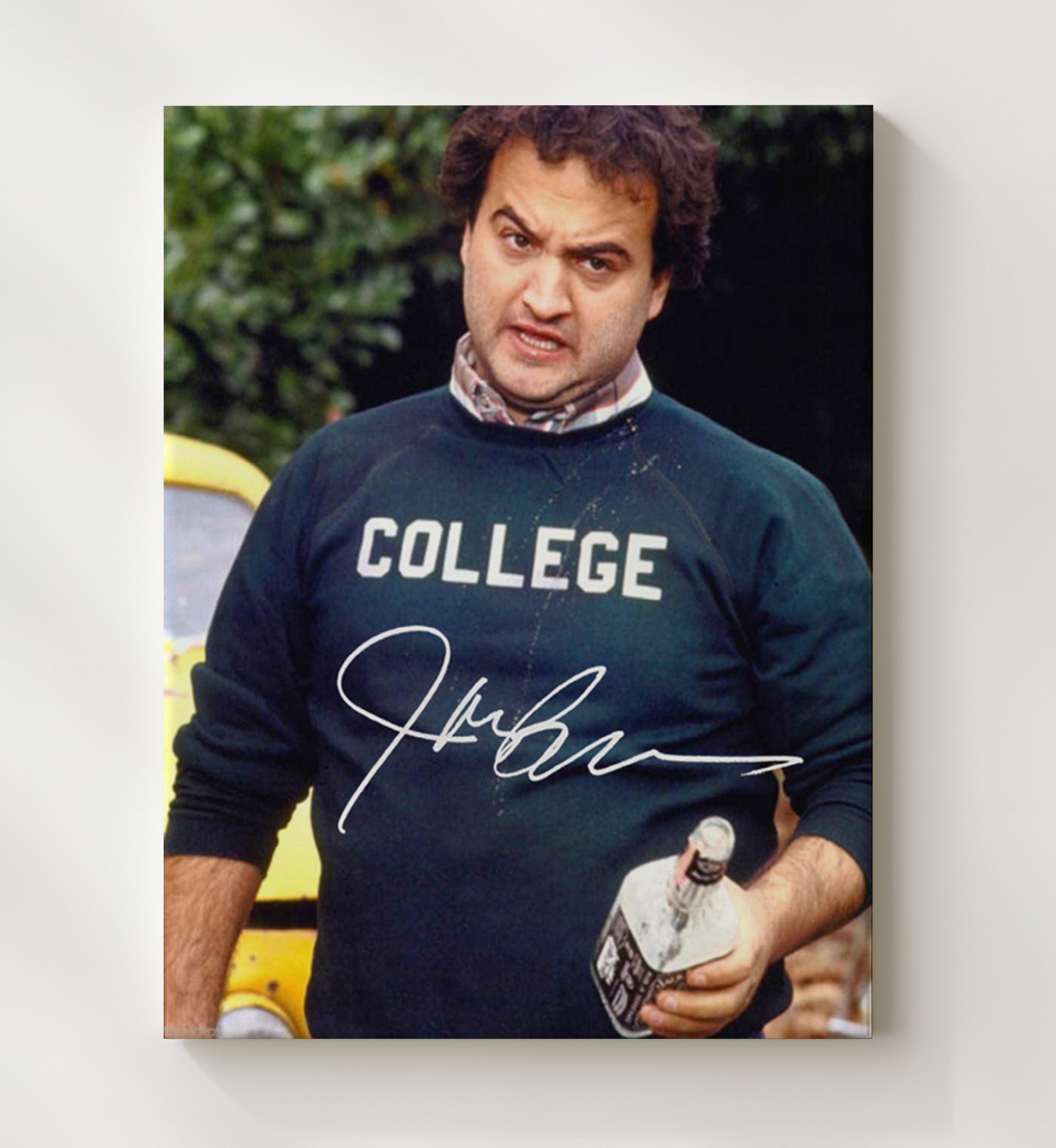 Animal House - John Belushi - Bluto - Wild College Party Chaos movie wall art 20x24 Canvas