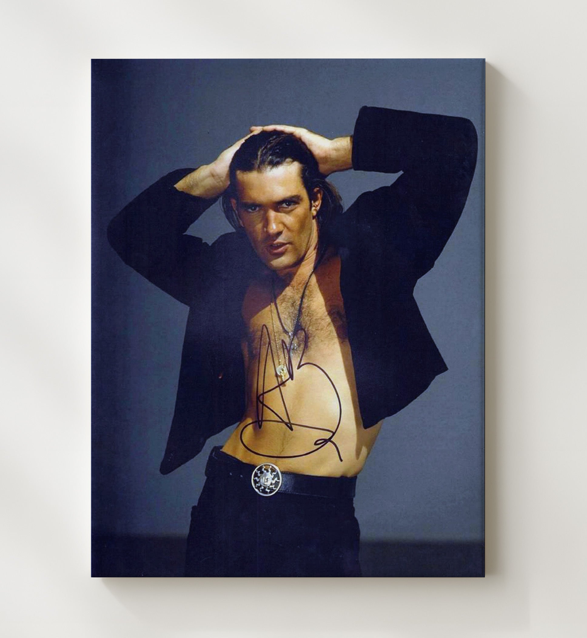 Antonio Banderas - Studio Photograph movie wall art 20x24 Canvas