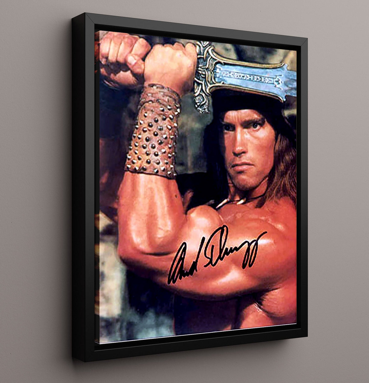 Arnold Schwarzenegger - Conan the Barbarian Conan movie wall art 16x20 Gallery Frame