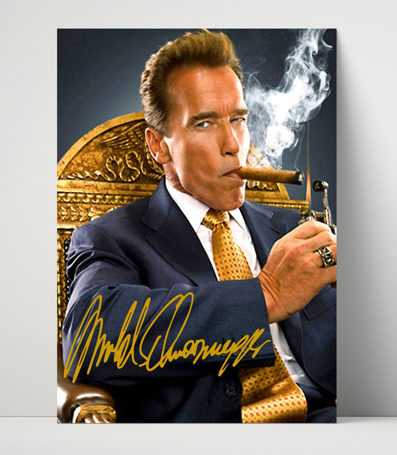 Arnold Schwarzenegger - Terminator Black Jacket movie wall art 16x20 Unframed Print