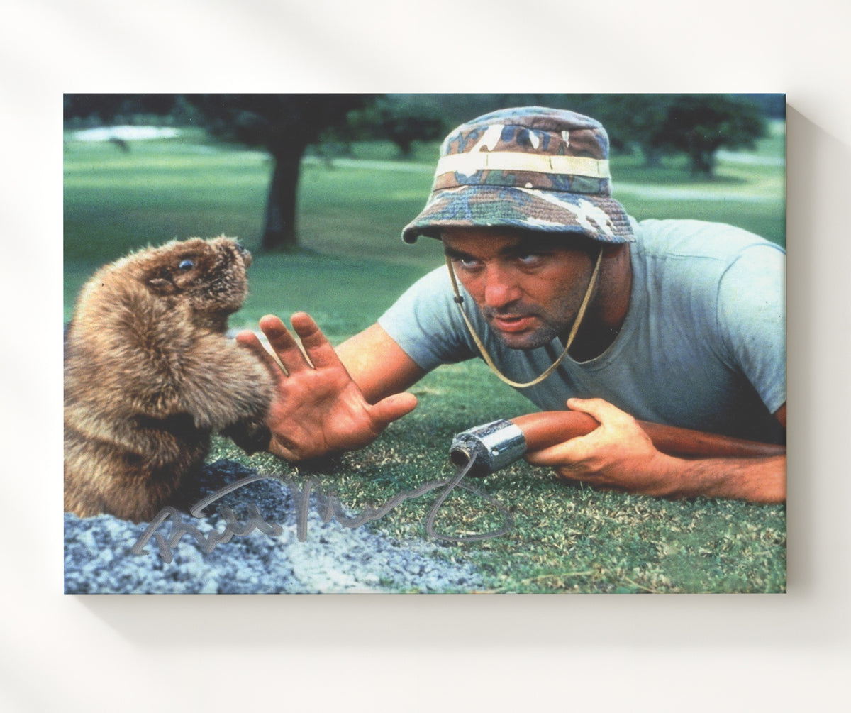 Bill Murray - Caddyshack - The Gophers Nemesis movie wall art 20x24 Canvas