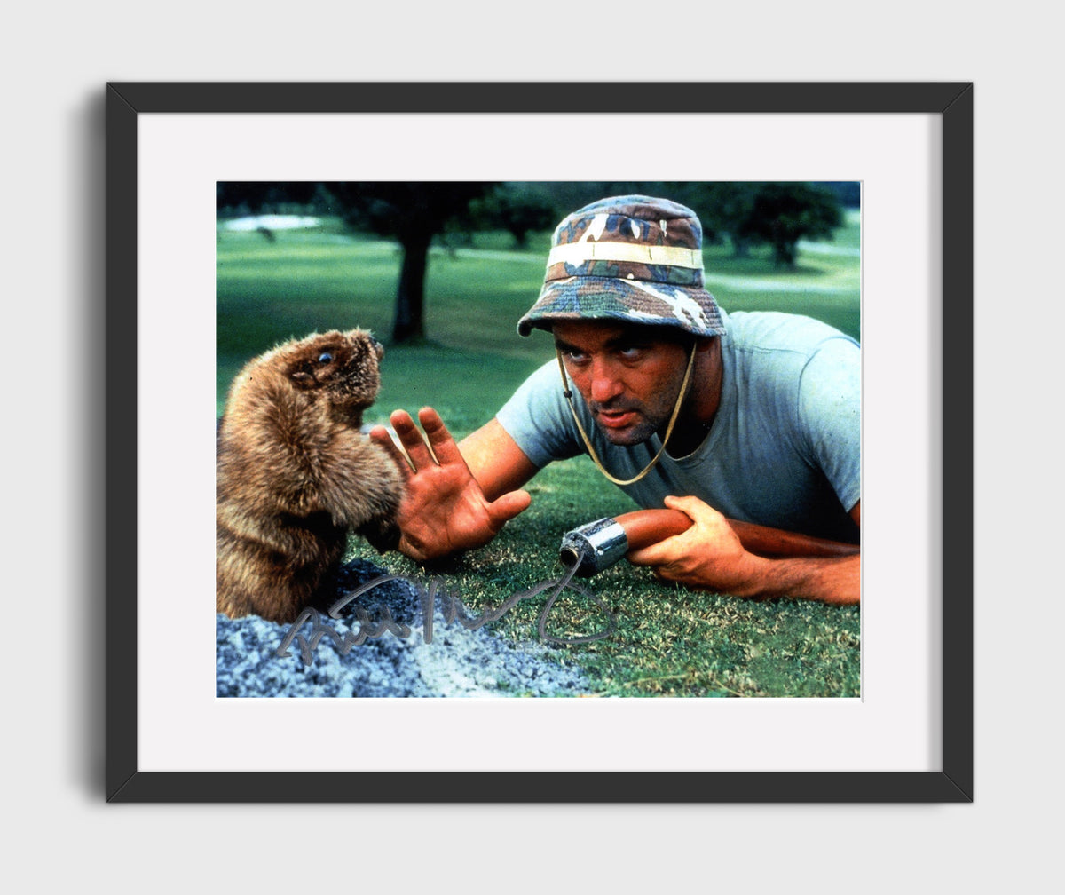 Bill Murray - Caddyshack - The Gophers Nemesis movie wall art 16x20 Gallery Frame