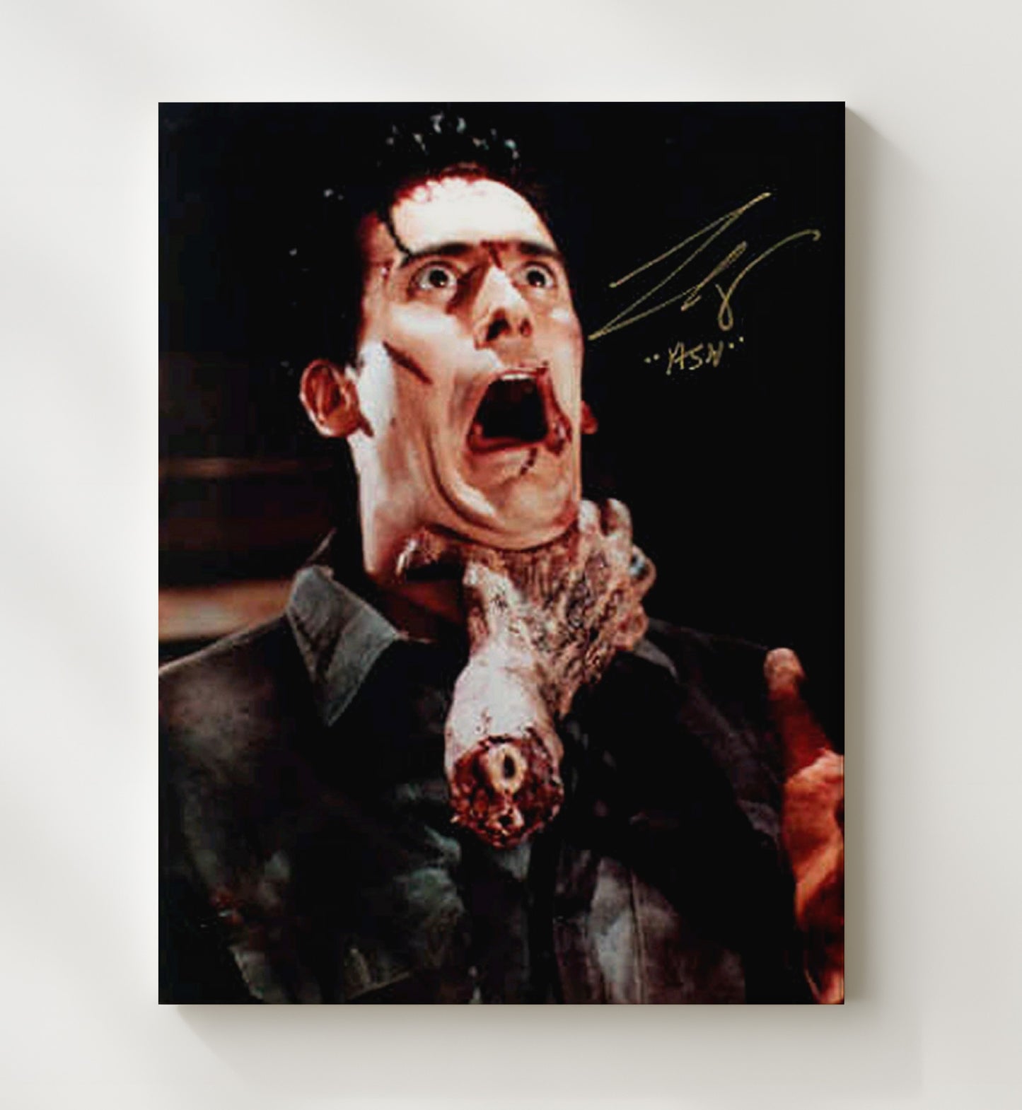 Bruce Campbell - Ash vs. Hand Vintage Movie Wall Art - 20x24 Canvas movie decor