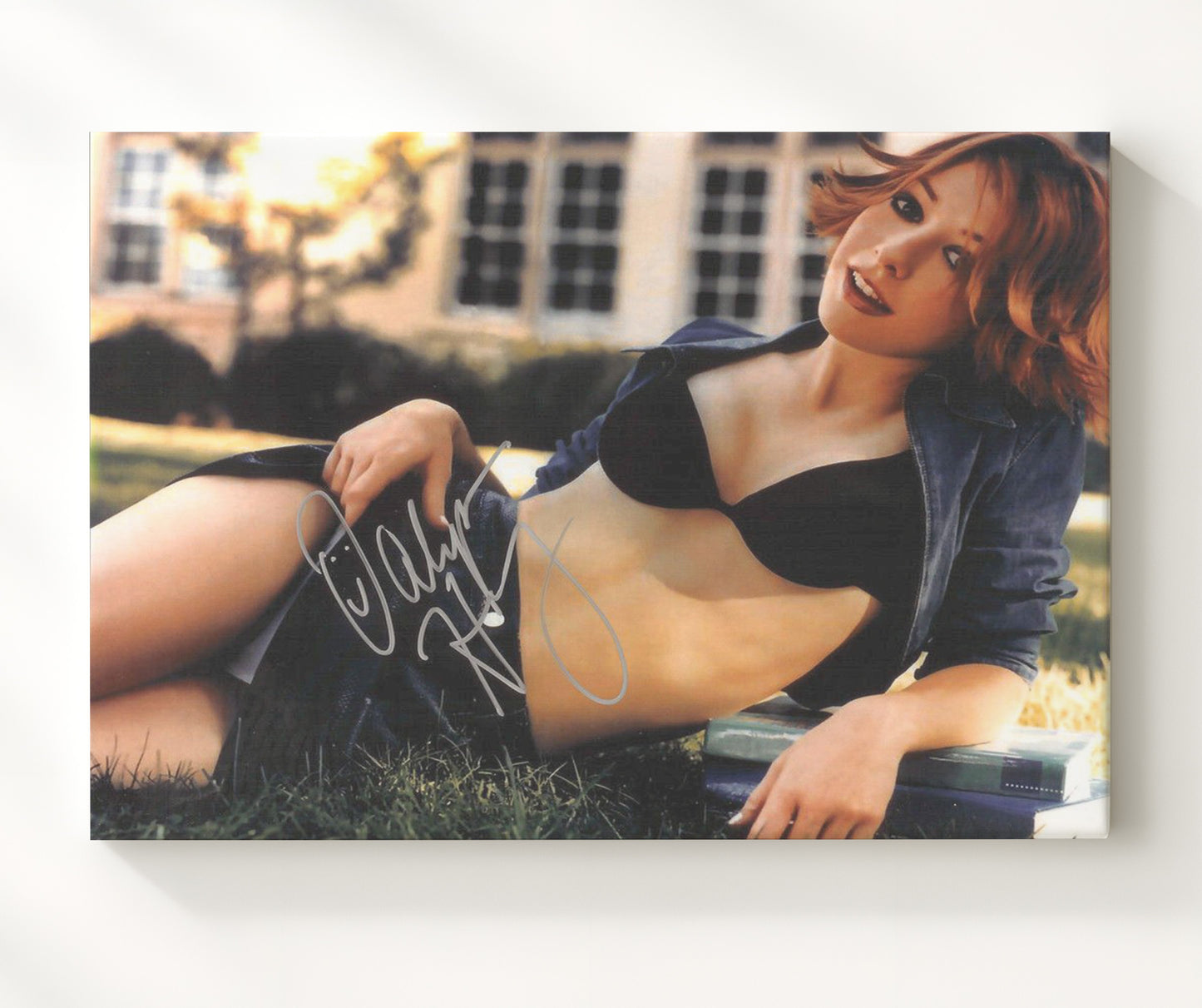 Buffy the Vampire Slayer - Alyson Hannigan - Willow Rosenberg - Soft field moment movie wall art 20x24 Canvas