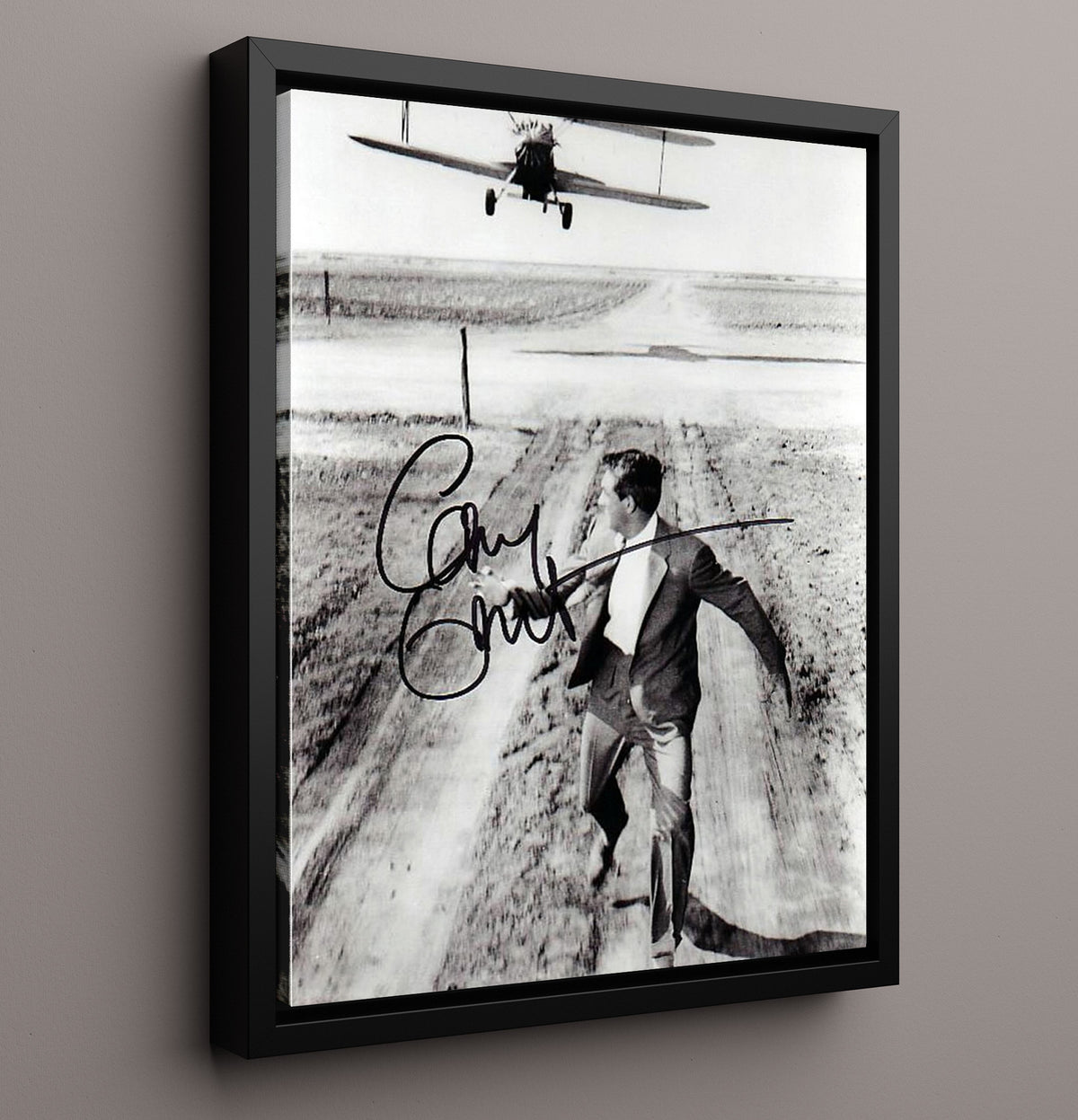 Cary Grant - Crop Duster Chase movie wall art 16x20 Framed Canvas