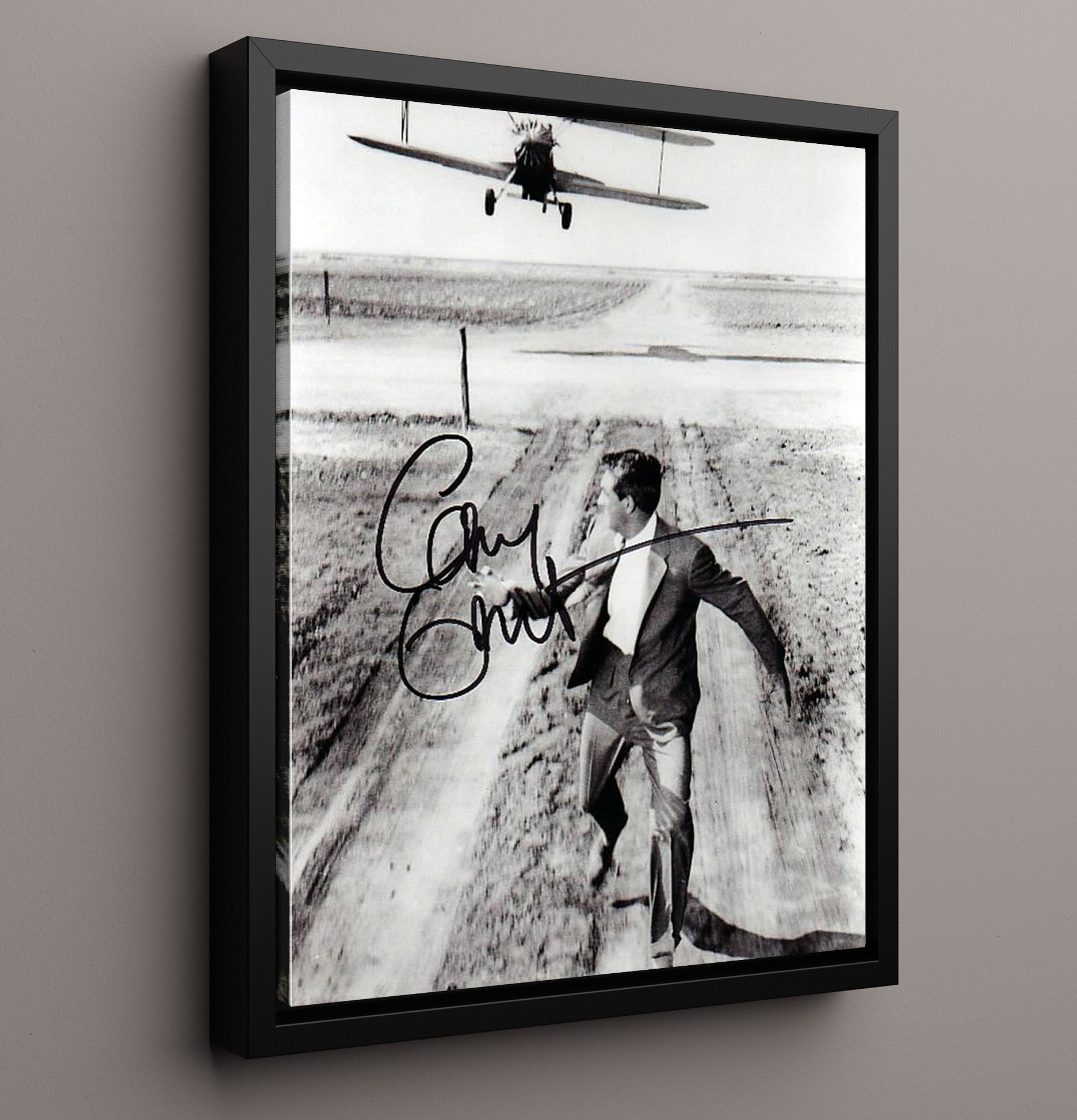 Cary Grant - Crop Duster Chase movie wall art 16x20 Framed Canvas