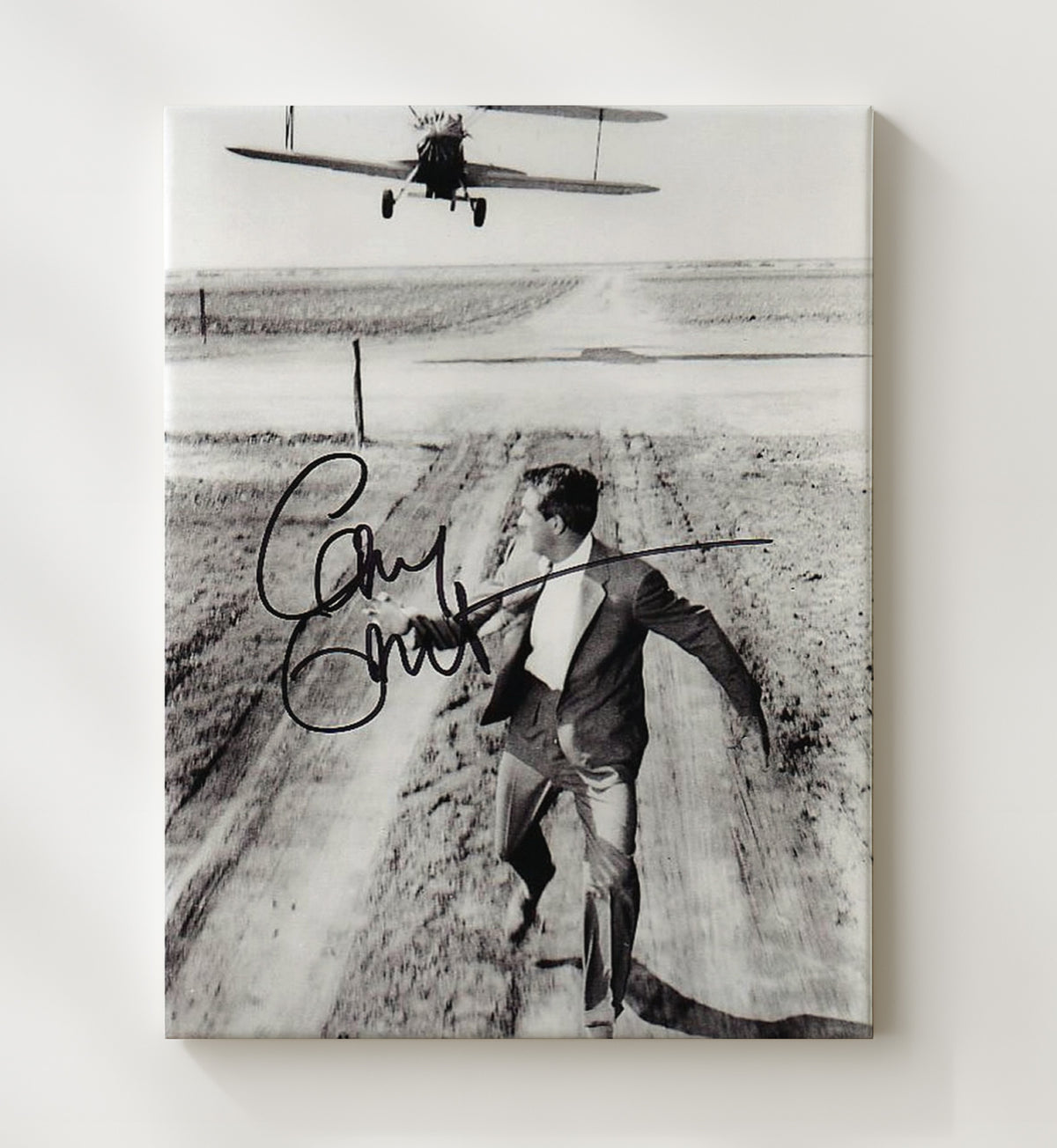 Cary Grant - Crop Duster Chase movie wall art 20x24 Canvas