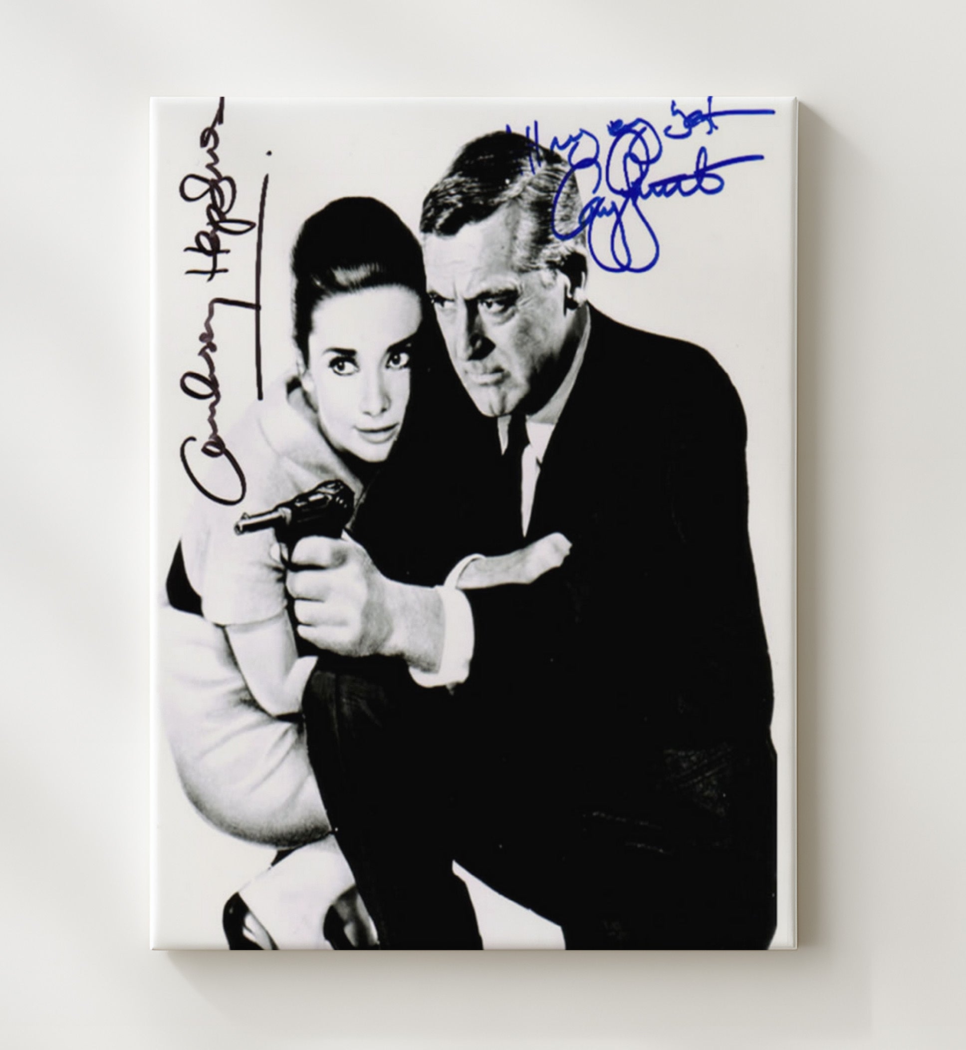 Cary Grant and Audrey Hepburn - Charade Peter Joshua and Regina Lampert Suspense Duo movie wall art 20x24 Canvas