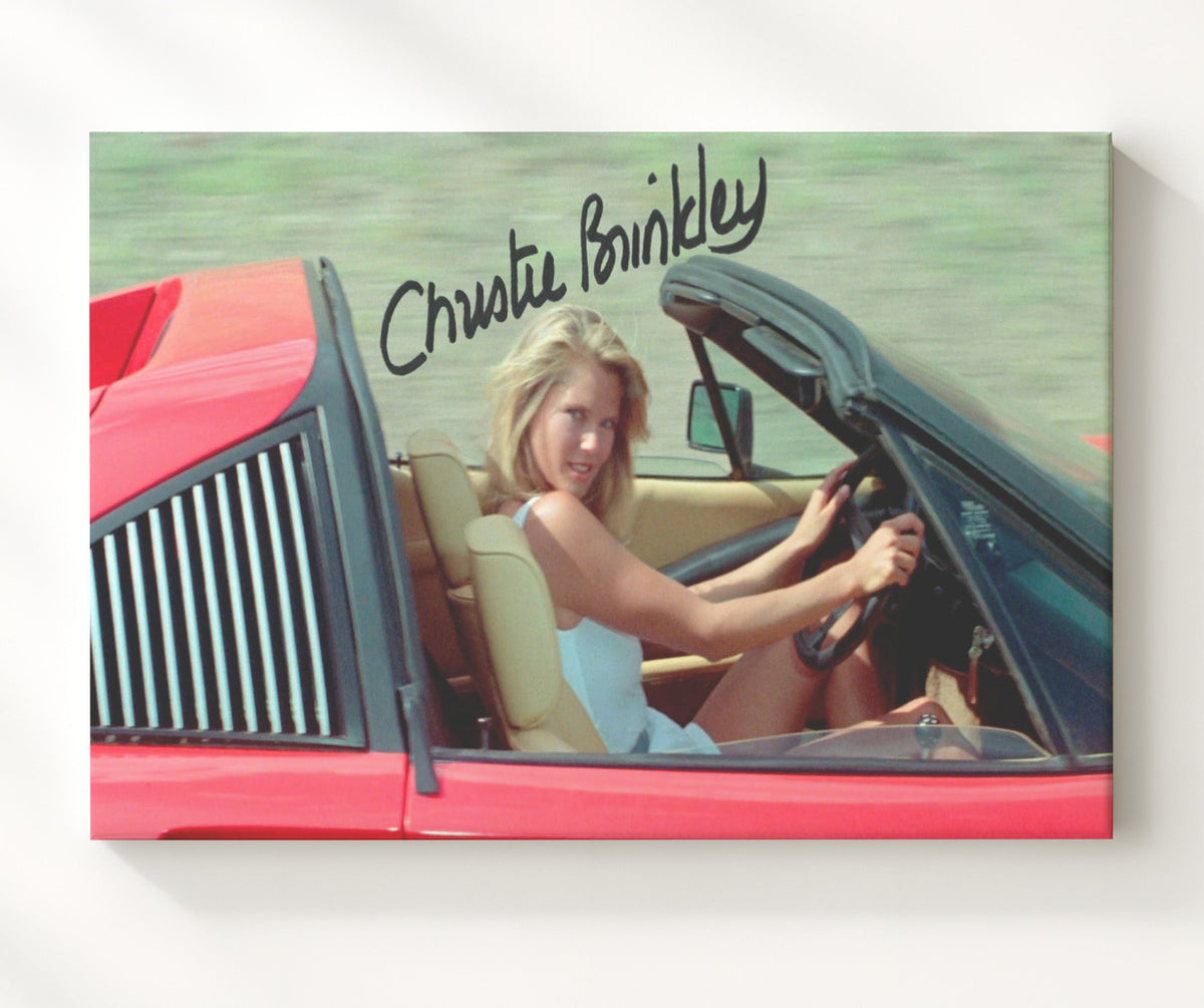 Christie Brinkley - Vacation - Ferrari Daydream movie wall art 8x10 Beveled Frame