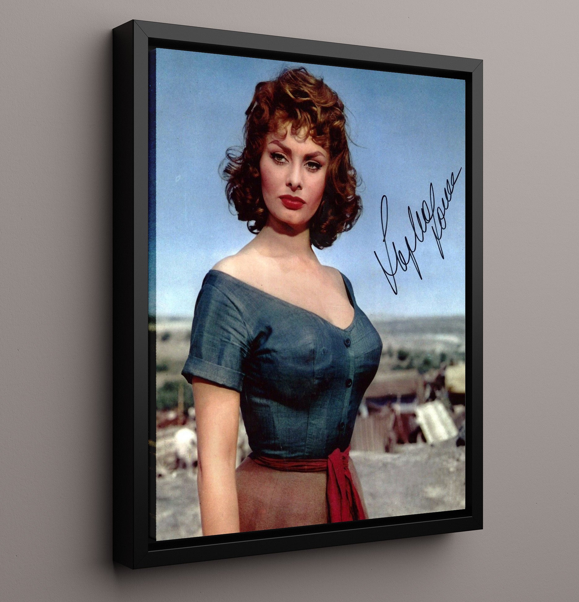 Classic Cinema - Sophia Loren - Various Roles - Desert Glamour Photograph movie wall art 16x20 Framed Canvas
