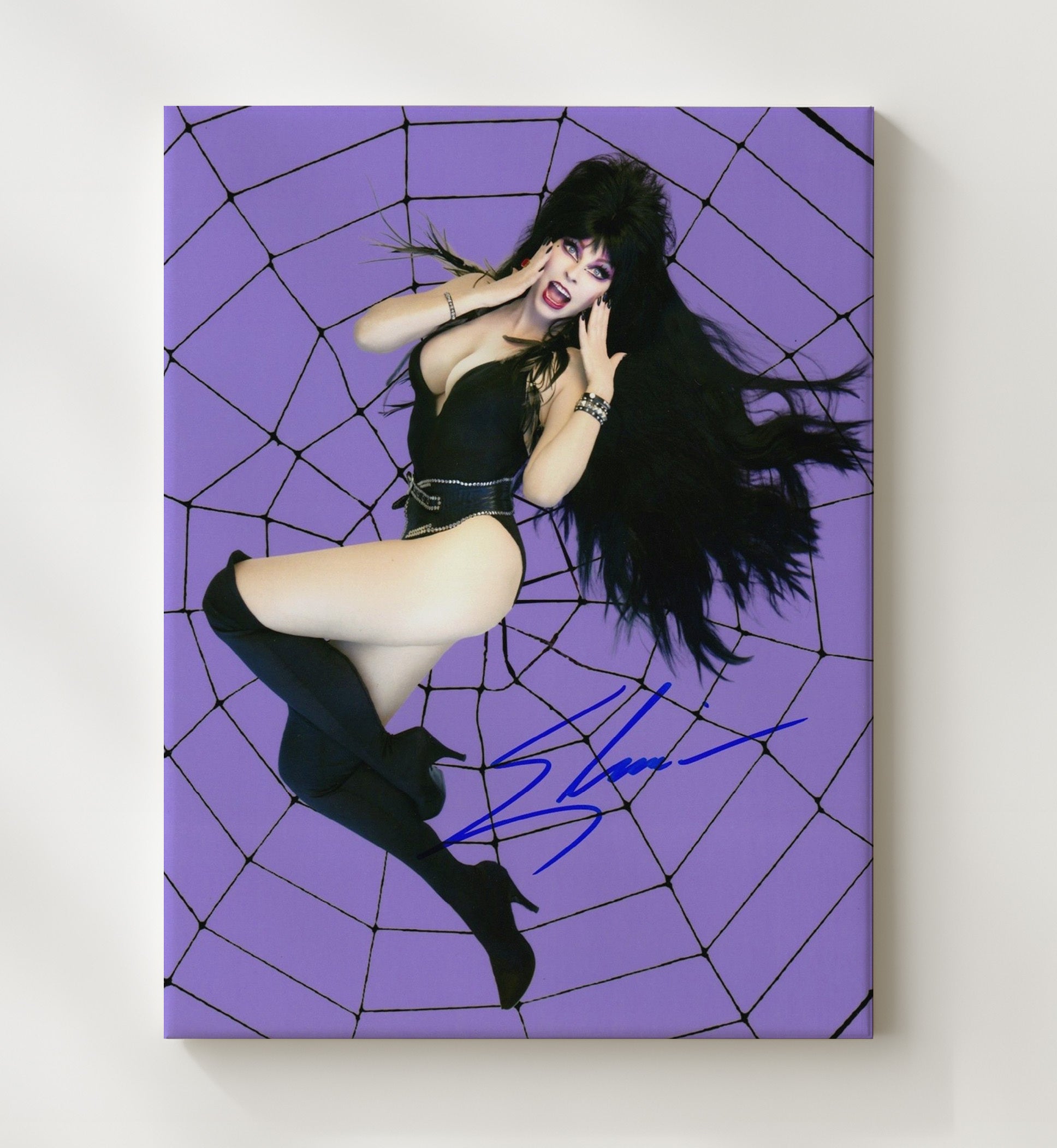 Elvira Mistress of the Dark - Cassandra Peterson Elvira Spiderweb Pinup.jpg Vintage Movie Wall Art - 20x24 Canvas movie decor