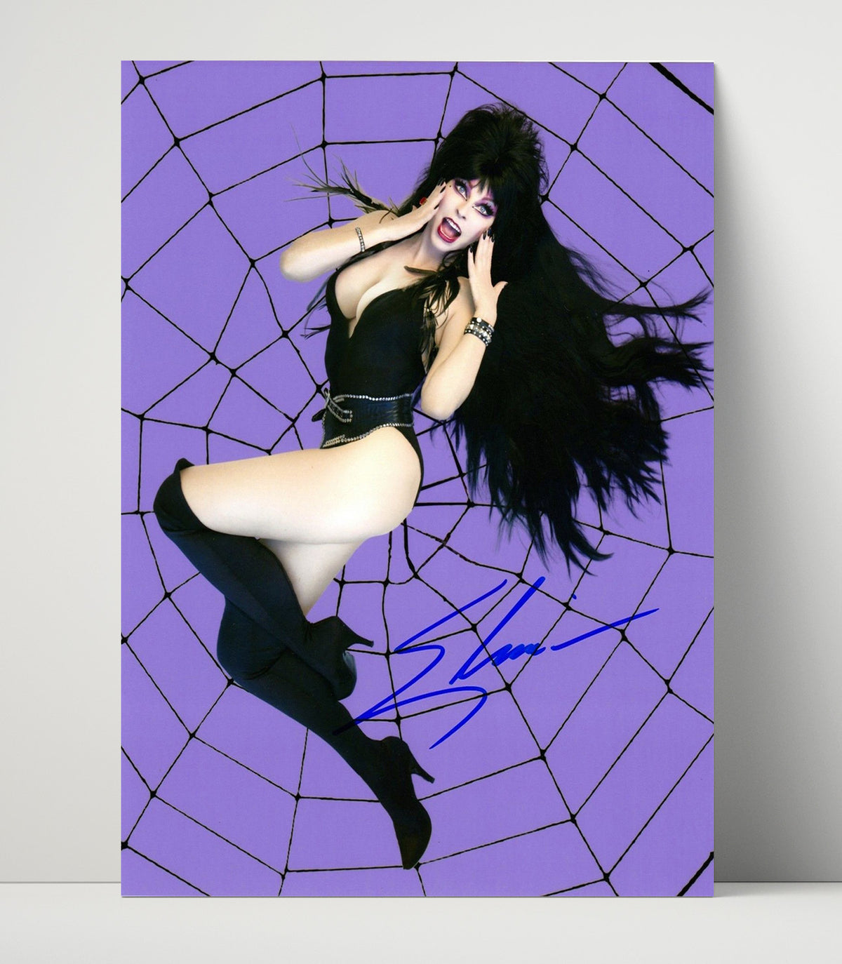 Elvira Mistress of the Dark - Cassandra Peterson Elvira Spiderweb Pinup.jpg movie wall art 16x20 Unframed Print