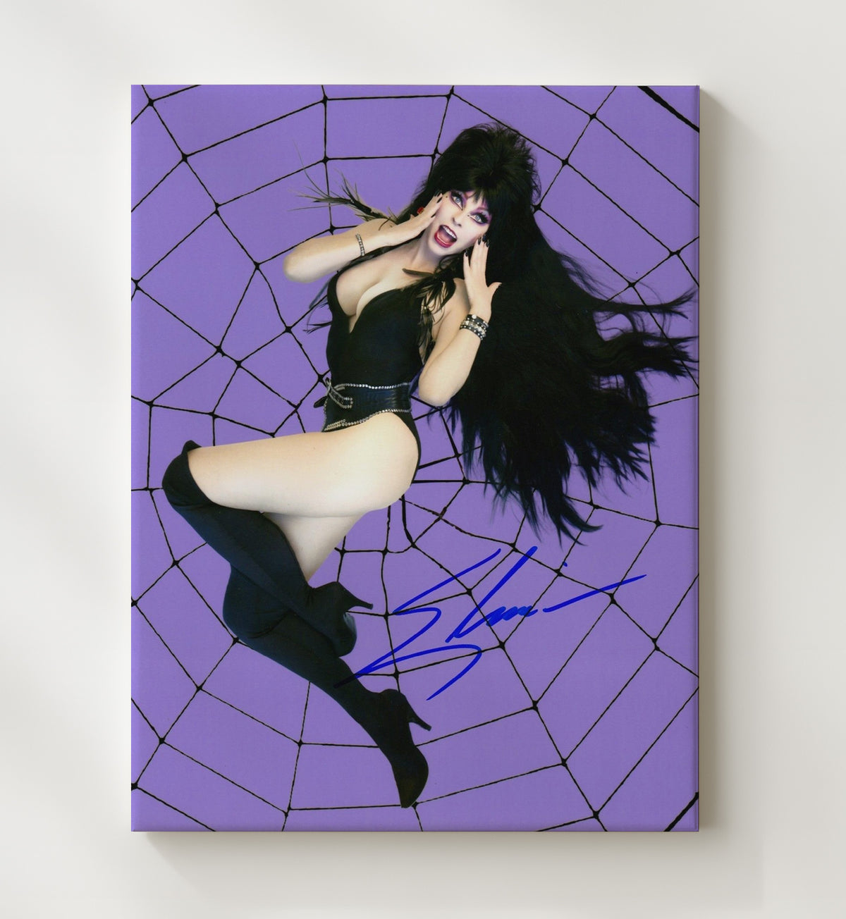 Elvira Mistress of the Dark - Cassandra Peterson Elvira Spiderweb Pinup.jpg movie wall art 20x24 Canvas