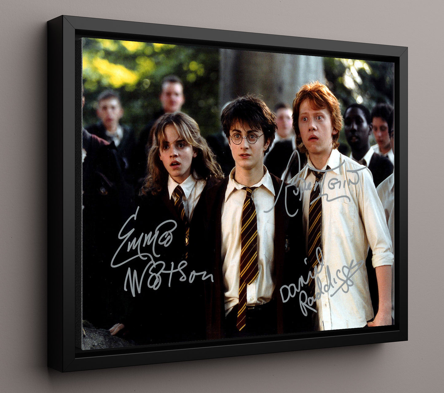 Harry Potter - Cast - Shocked Trio Vintage Movie Wall Art - 16x20 Framed Canvas movie decor