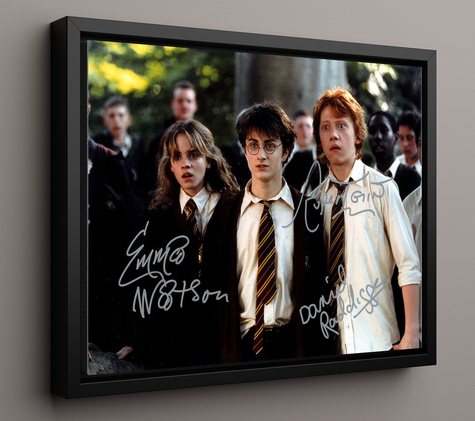 Harry Potter - Cast - Shocked Trio Vintage Movie Wall Art - 16x20 Framed Canvas movie decor