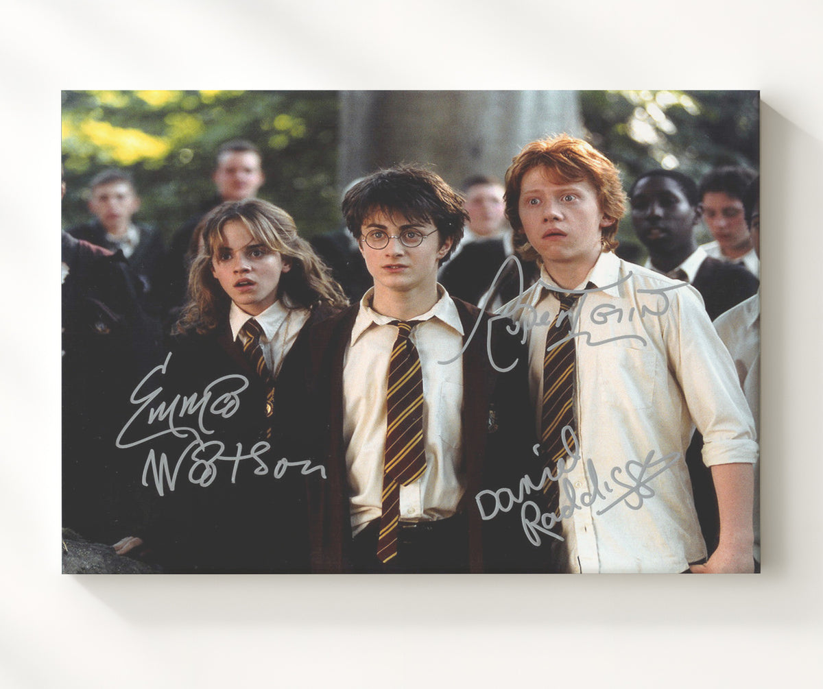 Harry Potter - Cast - Shocked Trio movie wall art 20x24 Canvas