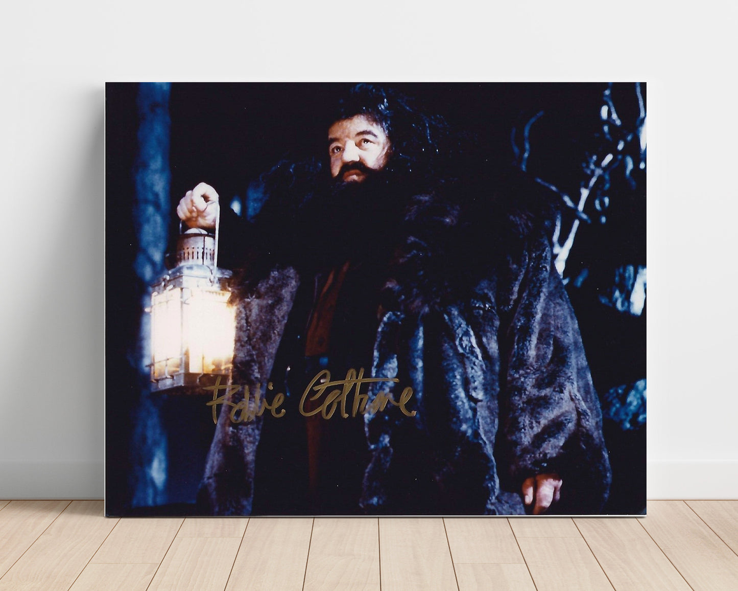 Harry Potter - Coltrane - Hagrid - Keeper of Keys and Grounds movie wall art 16x20 Unframed Print